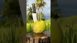 This is Master! Coconut Cutting With Style💥 #coconutcutting #asmr #trendingnow #viralshorts