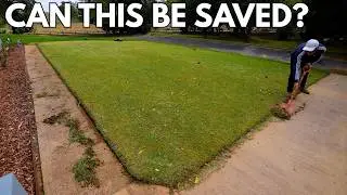 Can we fix all the issues with this Lawn?