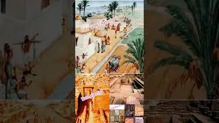 Indus civilization/Indus civilization history#shorts🧐