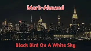 Black Bird On A White Sky by Mark Almond with lyrics