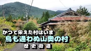 かつて栄えた村は今　鳥も通わぬ山奥に