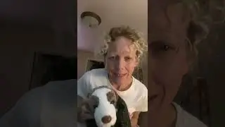 Douglas Rancher Red Aussie dog unboxing