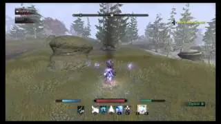 The Elder Scrolls Online: 1v1