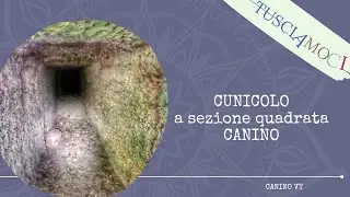 CUNICOLO a sezione QUADRATA...Che stranoooo