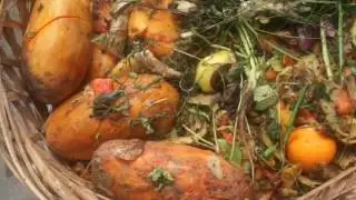 STRATA BIOGREEN 24 HOUR WASTE COMPOST MACHINE