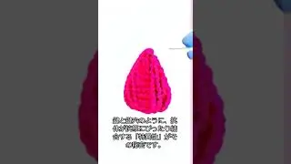【1分ぐらいでわかる】抗体と抗原：体の中の防衛軍の仕組み sns