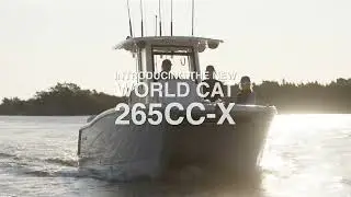 Meet the New World Cat 265CC-X