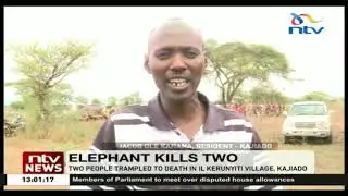 Elephant reportedly kills two people in Il Kerunyiti village, Kajiado