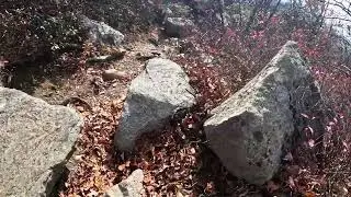 Bear Hill Nature Preserve NY 