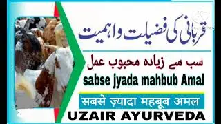 sabse jyada mahbub Amal. सबसे ज़्यादा महबूब अमल। سب سے زیادہ محبوب عمل UZAIR AYURVEDA