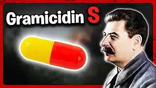 Gramicidin S: The WWII Drug That Saved Soviet Soldiers