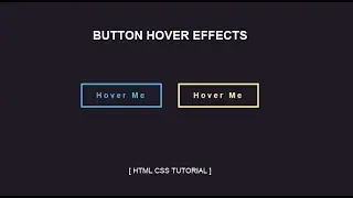 Button Hover Effect Using HTML & CSS