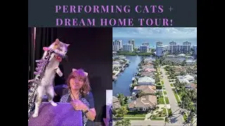 &ldquo;Rescue Cats Steal the Show 🐾 + Boca Raton Waterfront Home Tour 🏡 | Kim Winters | American Dream TV&rdquo;