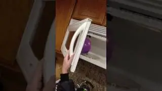 Benaben Hawk balloon in a microwave