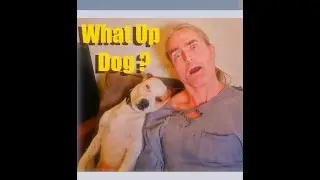 How To Sleep Like a Dog for Testosterone & SO Much More
