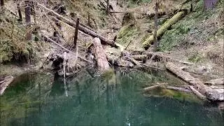 Lightning Quick Bigfoot Mt Adams
