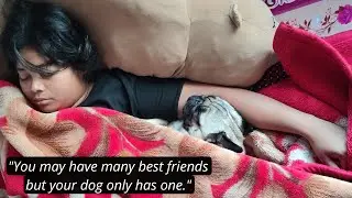 New funny pug videos 2025 | Funny Dog Videos 2025 | deep sleep dog | dog music | Dog Sleep Farting