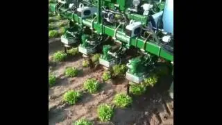 Robocrop InRow lettuce 2.MOV