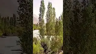 Phander valley Ghizer district Gilgit baltistan | #shorts #shortvideo #gilgit | israr tanoli shorts