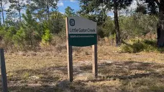 Hiking at Little Gator Creek. 