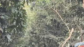 গাজীপুর কালীগঞ্জ মেলায় তাড়াতাড়ি পৌঁছানোর জন্য শর্টকাটে যাবো বলে আমাদের সাথে যা হয়েছিলো 🫣