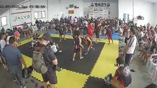 Festival WG de Wrestling