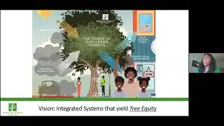Tree equity - Sarah Lillie Anderson
