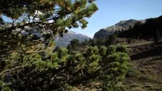 Bande annonce Film Compostelle, le chemin de la vie