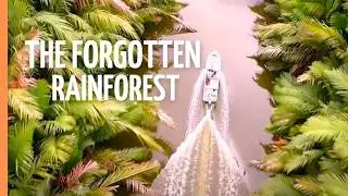 The Forgotten Rainforest - The Amazon of the East | Nature Documentary