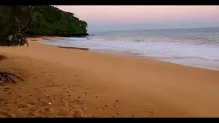 Sunset Thrill: Epic Beach Party Vibes 🌴🔥 1 Hour of Non-Stop Techno & EDM DJ Mix!