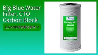 レビュー (2025): Big Blue Water Filter, CTO Carbon Block。まとめ