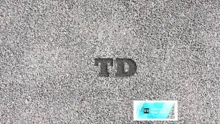 Hardwell Ft Zedd (The Davisse)