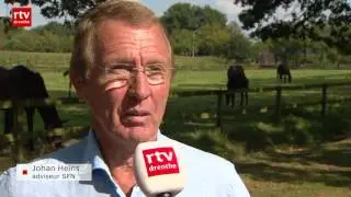 Veiling springpaarden levert tonnen te weinig op