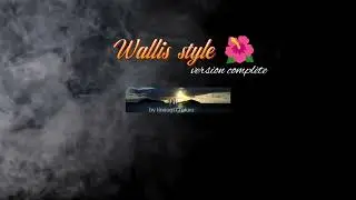 Wallis style 🌺