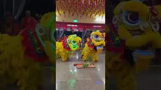 Jin Ann LED Lion video