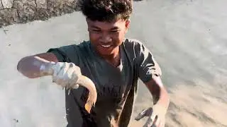 UNBELIEVABLE CATCH! Big and Small Fish Everywhere | Bunthorn Adventure