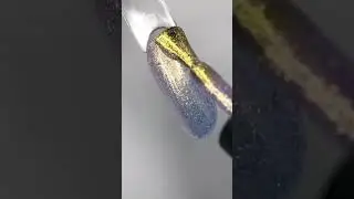 AURORA &trade;️CROOZ