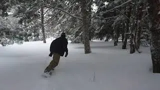 Moss Snowboard KING | Powder 1