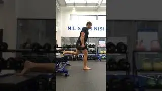 Rear foot elevated Split-squat