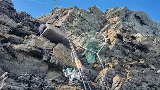 uk lure fishing 💥 explosive wrasse fishing on lures| Anglesey fishing | fishing quality moments