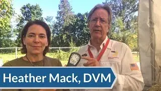 Equine Laser Therapy Review: Heather Mack, DVM