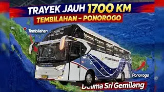 1700 KM NONSTOP! Bus Baru Delima Sri Gemilang Tembilahan&ndash;Ponorogo Lintas Sumatera Jawa | Laksanabus
