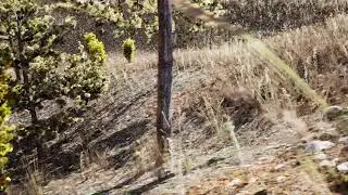 Photoscanned Rocky Field Environment - Demo cinematic