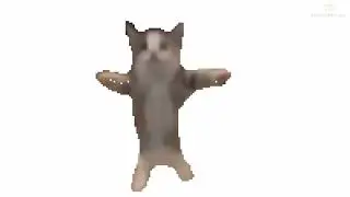 COEMS SONG 🐈 [10 Hours]