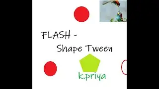 Flash - SHAPE TWEEN