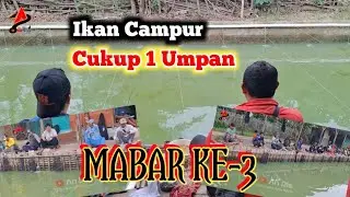 MANCING LELE HARIAN ‼️ SATU UMPAN GACOR UNTUK SEMUA ‼️ MABAR CAMPUR LELE BAWAL