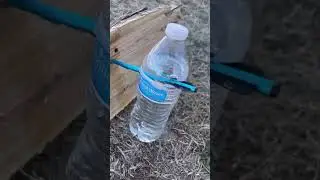 SEND IT  | Steambow AR-6 Stinger II Tactical