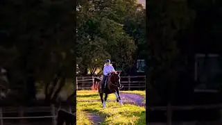 I&rsquo;m obsessed 🤩 #horse #equestrian #liberty #bond #chestnut #fypシ