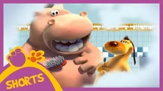 🔴 Pat and Stan - Non-stop funny video clips