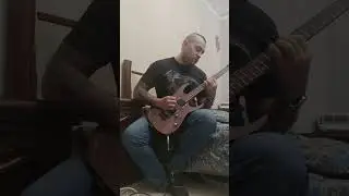 illdisposed - another kingdom dead (guitar cover)